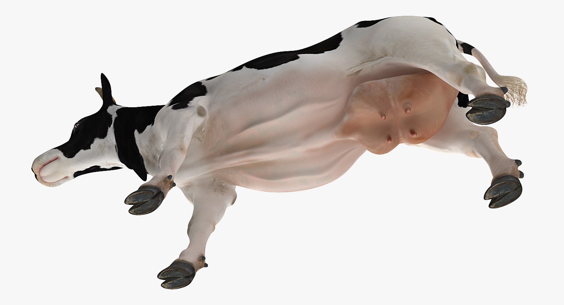 farm animals big model https://p.turbosquid.com/ts-thumb/yP/tiKYWL/sKpnK9hc/farmanimalsbigcollection3dmodel040/jpg/1549703994/1920x1080/fit_q87/55508490205051d68f09f0f2cdc1d3f742e461fa/farmanimalsbigcollection3dmodel040.jpg