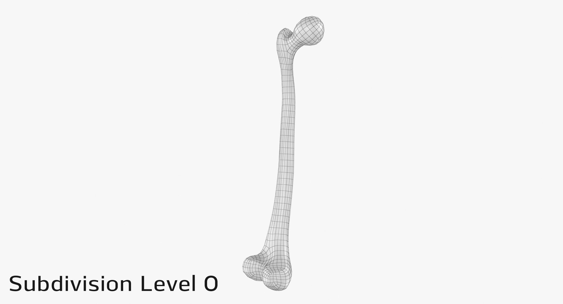 3D thigh bone femur model https://p.turbosquid.com/ts-thumb/yP/uz6ap3/4NUnWfhz/tb_sub00003/jpg/1529029897/1920x1080/fit_q87/256383cf0d7b1497706eff3e2472ba95ba33432f/tb_sub00003.jpg