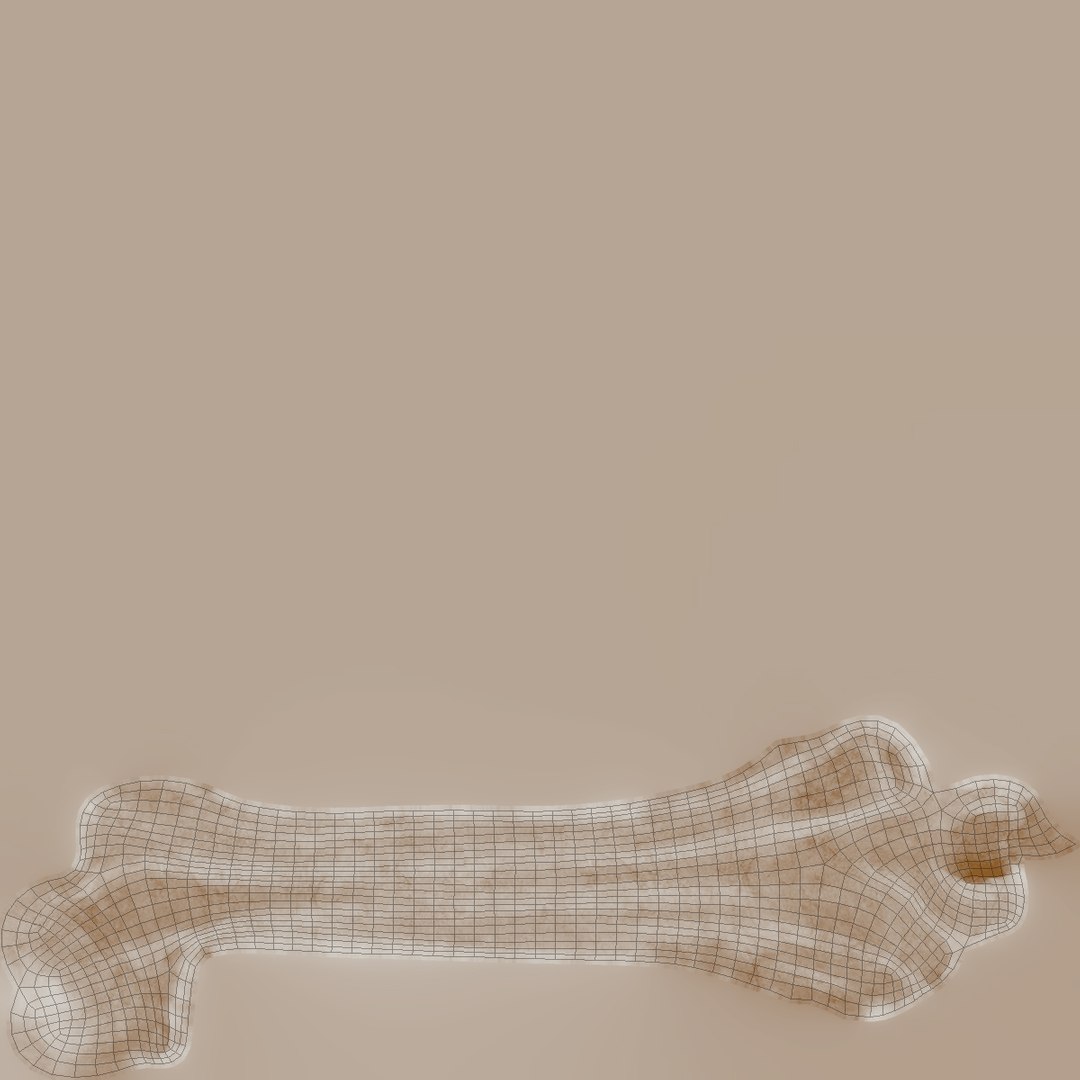 3D thigh bone femur model https://p.turbosquid.com/ts-thumb/yP/uz6ap3/CgtFJisB/tbuv/jpg/1529029660/1920x1080/fit_q87/b2ffb3c7255b8c3840d0516031eb8a3461253ed6/tbuv.jpg