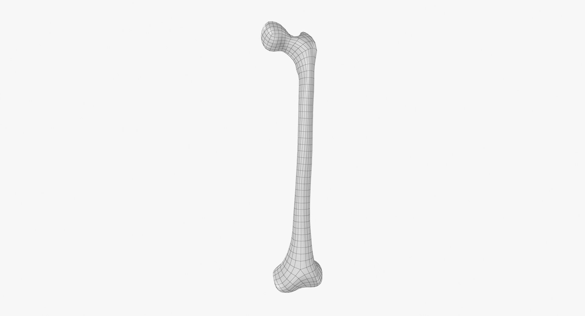 3D thigh bone femur model https://p.turbosquid.com/ts-thumb/yP/uz6ap3/NRdmfmgD/tb360w/jpg/1529029734/1920x1080/turn_fit_q99/9b474979dde0f137d5cc407a88c7175021a18b24/tb360w-1.jpg