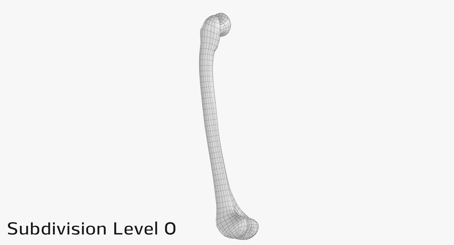 3D thigh bone femur model https://p.turbosquid.com/ts-thumb/yP/uz6ap3/TBMAtK8U/tb_sub00001/jpg/1529029880/1920x1080/fit_q87/6c7541e452786c6a1b34c7d8ba11730daddf3f34/tb_sub00001.jpg