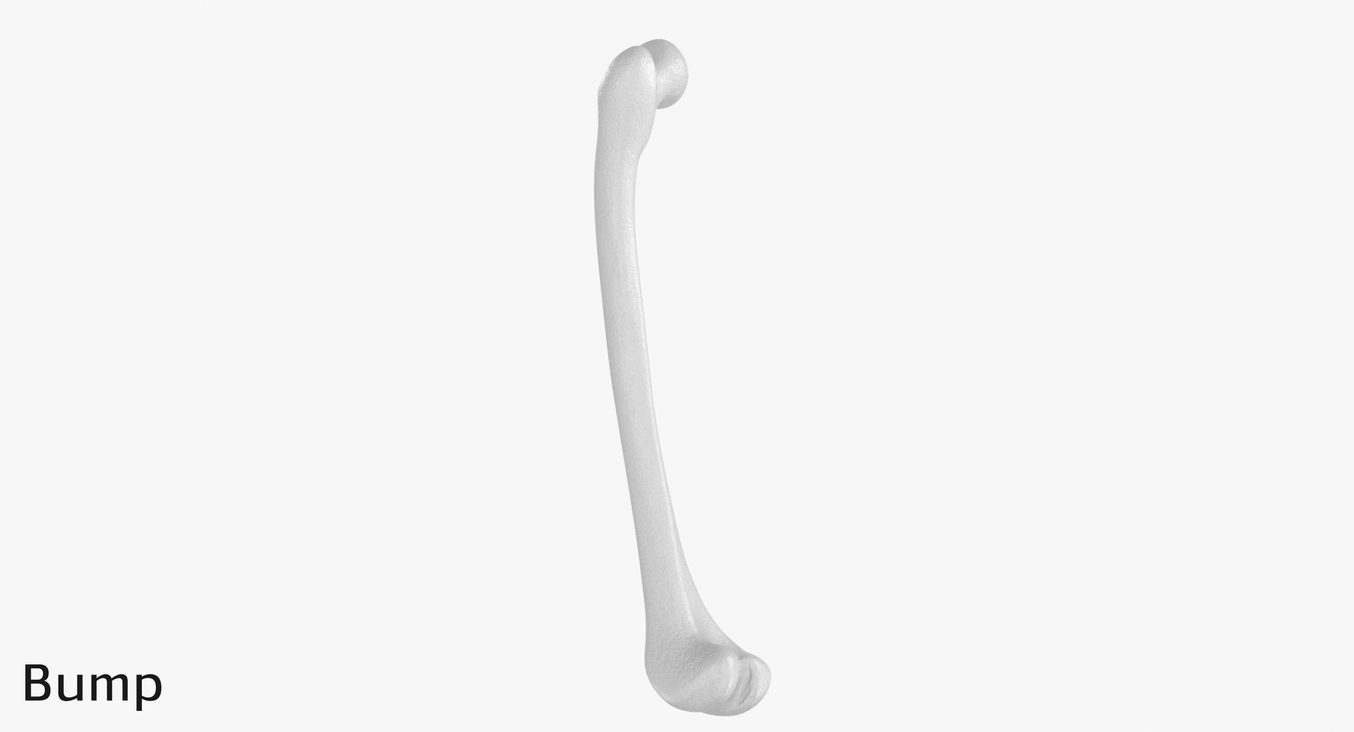 3D thigh bone femur model https://p.turbosquid.com/ts-thumb/yP/uz6ap3/XxdJshR6/tb_displ0001/jpg/1529029877/1920x1080/fit_q87/063fc19dcdf2fb3b68dd21865ce33dd6c474fea3/tb_displ0001.jpg