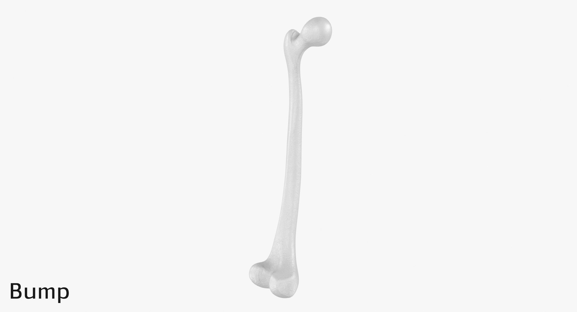 3D thigh bone femur model https://p.turbosquid.com/ts-thumb/yP/uz6ap3/YuJQJ777/tb_displ0003/jpg/1529029895/1920x1080/fit_q87/0f44fb9f1e42cc51a0aa94e2a3fc08a36c3bfcbe/tb_displ0003.jpg