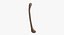 Thigh Bone Femur