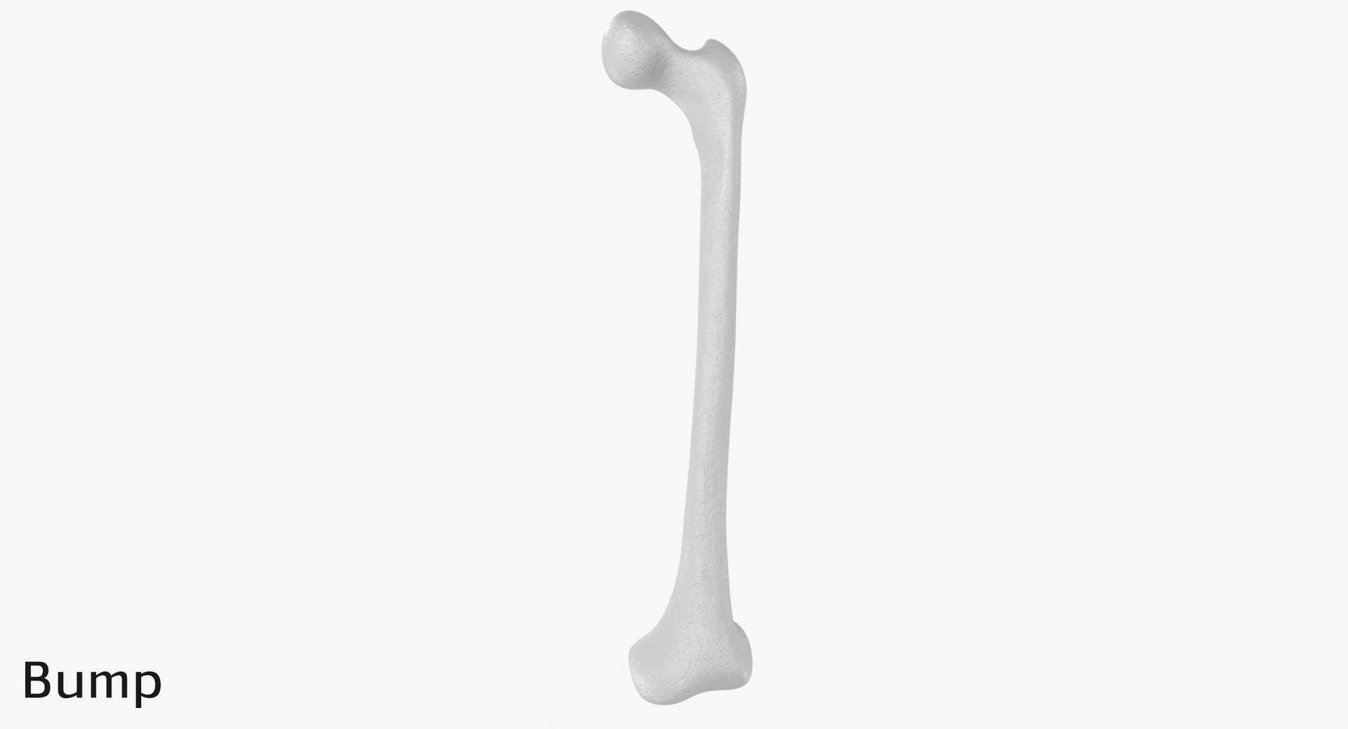 3D thigh bone femur model https://p.turbosquid.com/ts-thumb/yP/uz6ap3/nxxjZBdo/tb_displ0002/jpg/1529029886/1920x1080/fit_q87/d2d46cea03daf1719d0f197fa95d4be10a983b92/tb_displ0002.jpg