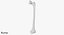 Thigh Bone Femur