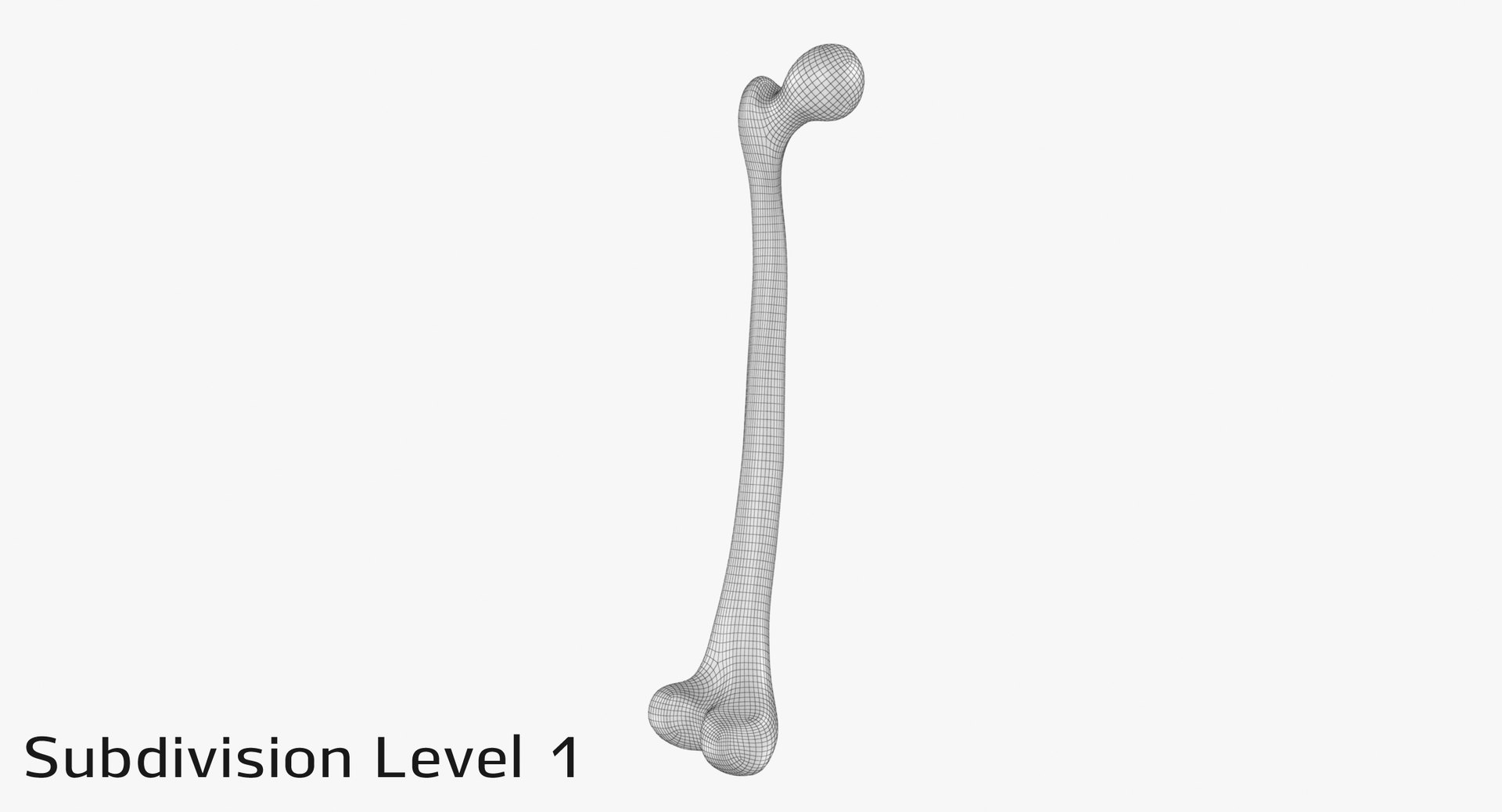 3D thigh bone femur model https://p.turbosquid.com/ts-thumb/yP/uz6ap3/p4Wgrqqm/tb_subd10003/jpg/1529029899/1920x1080/fit_q87/6062dcb795295b92c157e37a94b55f96aa82acf4/tb_subd10003.jpg