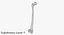 Thigh Bone Femur
