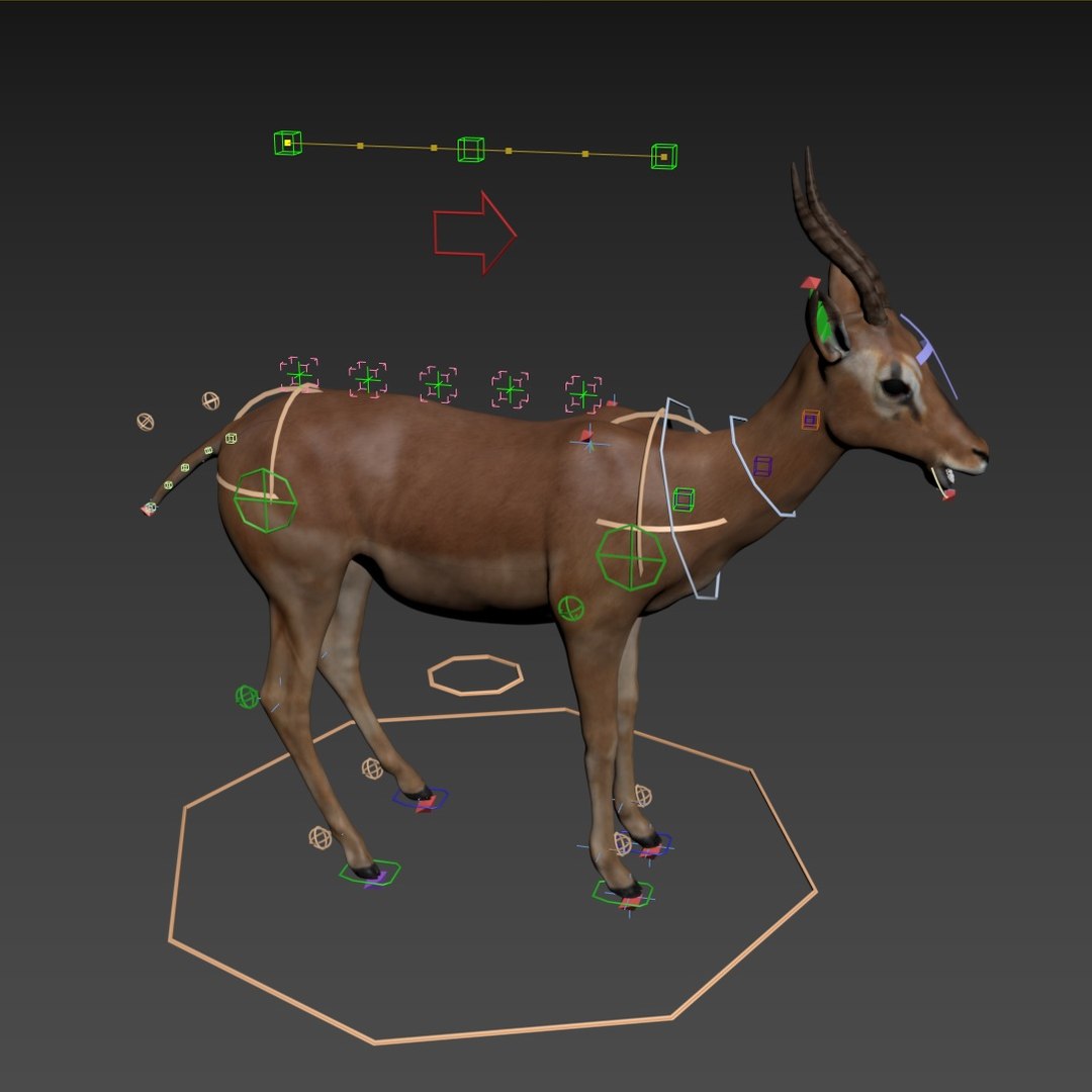3D model impala modeled rigged animation https://p.turbosquid.com/ts-thumb/yP/w11CGG/Hehf9gwN/rig/jpg/1587070183/1920x1080/fit_q87/2edd00dc53e9110a63effff5e05eb8c141edcbb2/rig.jpg