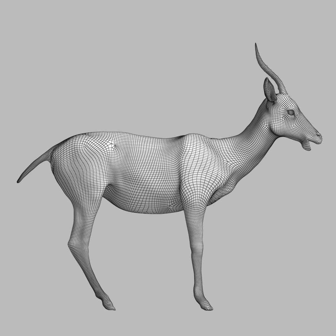 3D model impala modeled rigged animation https://p.turbosquid.com/ts-thumb/yP/w11CGG/YoUEmsE1/w3/jpg/1587070183/1920x1080/fit_q87/f8bcd54ce47bed6f2d38ab27a7688ea8e2ca2f3e/w3.jpg