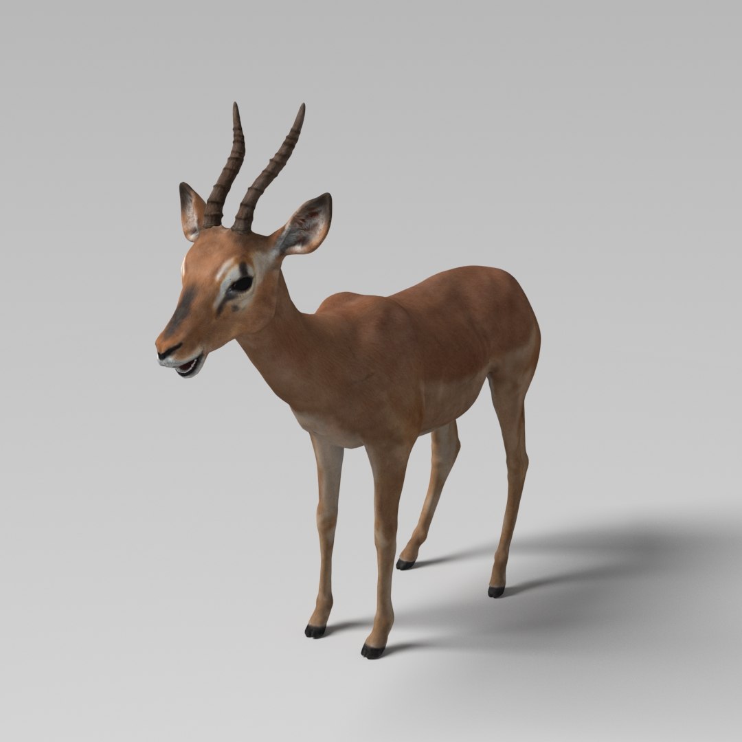 3D model impala modeled rigged animation https://p.turbosquid.com/ts-thumb/yP/w11CGG/e0tIHqju/2/jpg/1587070183/1920x1080/fit_q87/38fe60c4edc2fe4e597af3ae14d29970a5d4a36d/2.jpg