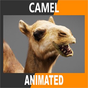 3D model Animated Camel