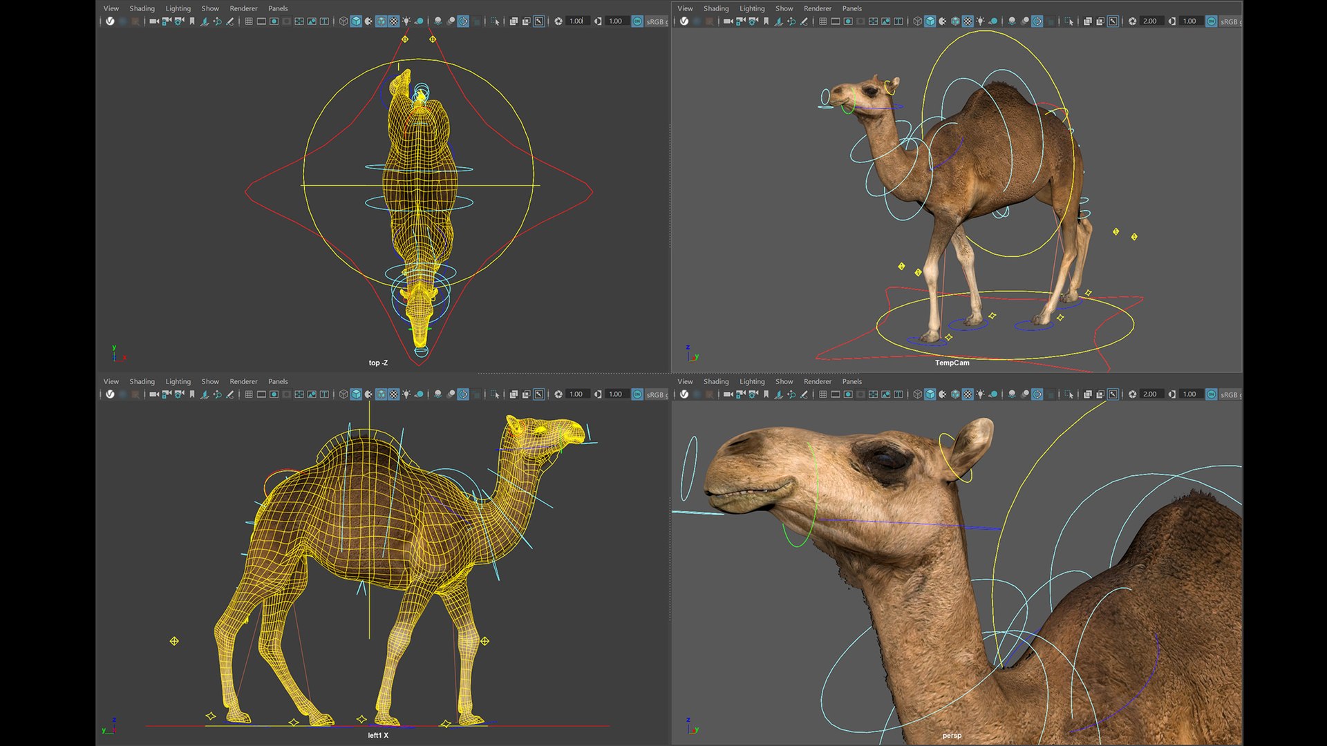 3D model Animated Camel https://p.turbosquid.com/ts-thumb/yP/xspN2F/bW/camel05maya/jpg/1789633557/1920x1080/fit_q87/a4f8e2ebae2c142a697285f4dc8d082cc6daef50/camel05maya.jpg
