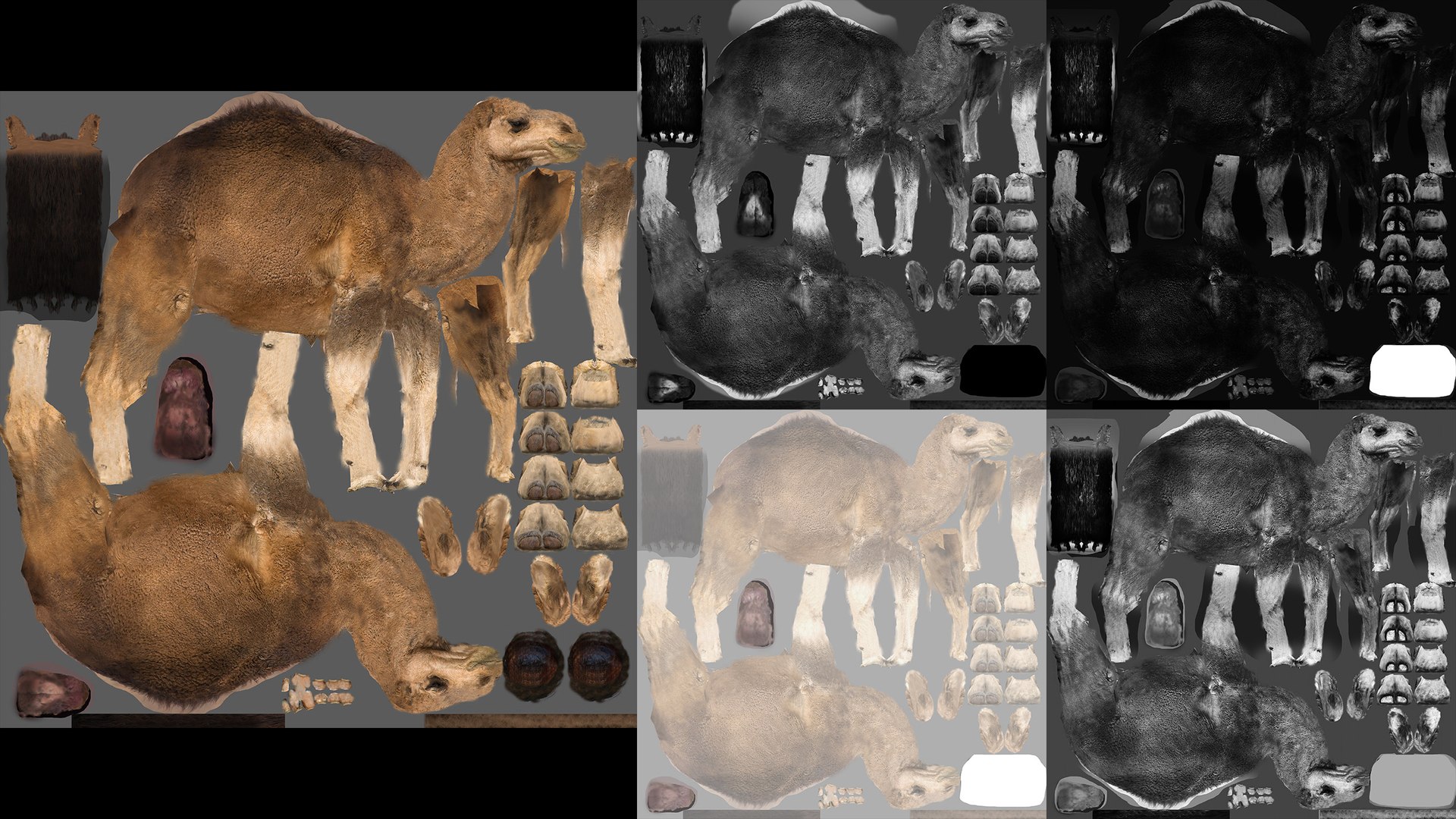 3D model Animated Camel https://p.turbosquid.com/ts-thumb/yP/xspN2F/w2/camel05b/jpg/1789633557/1920x1080/fit_q87/0cd8f939673f2e546dc355d02041f74fcc559218/camel05b.jpg
