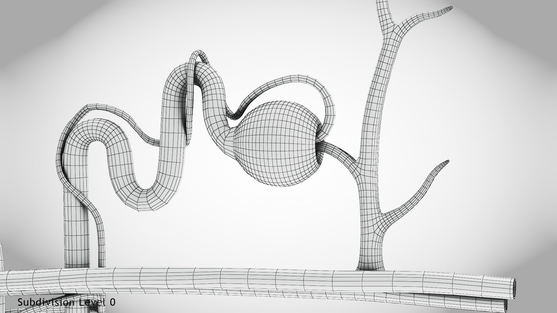 Nephron model https://p.turbosquid.com/ts-thumb/yP/zbBwYf/SU/wire0006/jpg/1695971740/1920x1080/fit_q87/b4667cd799dfdd7aab2edf8f66230e916ff161a4/wire0006.jpg
