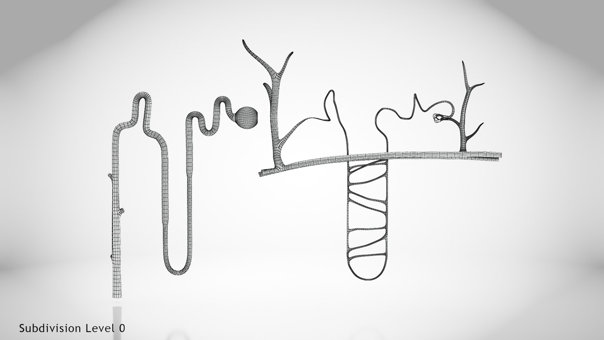 Nephron model https://p.turbosquid.com/ts-thumb/yP/zbBwYf/ma/wire0007/jpg/1695971759/1920x1080/fit_q87/805509323e4e9aaf3e0083d288c155f14f55297c/wire0007.jpg
