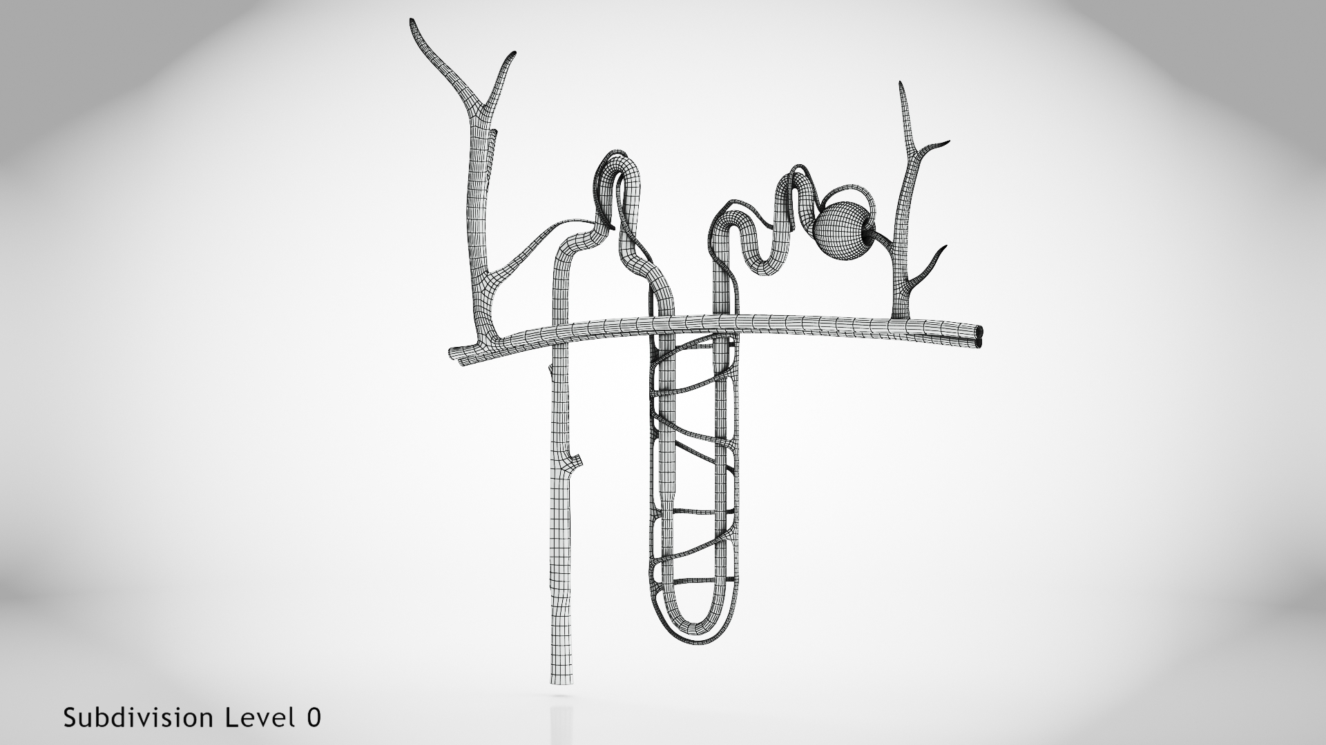 Nephron model https://p.turbosquid.com/ts-thumb/yP/zbBwYf/zH/w/jpg/1695972768/1920x1080/turn_fit_q99/60442164e98394c210e1a0a976f0cebbb15d8714/w-1.jpg