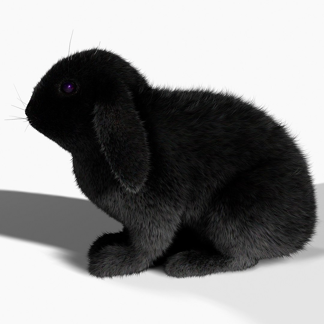 Rabbit Black Fur Max