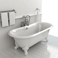 Classical Bathtub with Shower