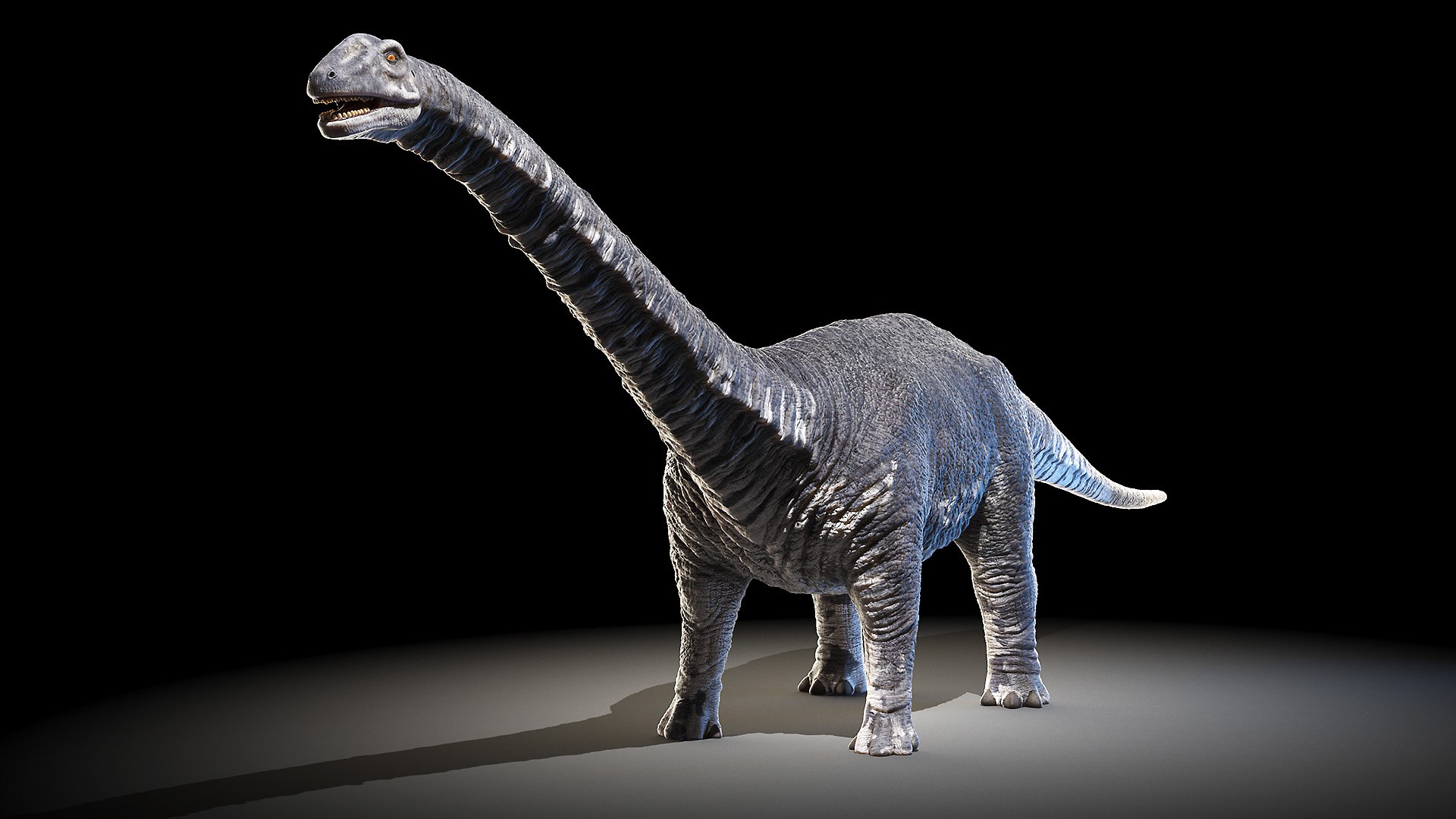 Argentinosaurus 3D Model - TurboSquid 1635003