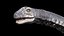 argentinosaurus 3D model