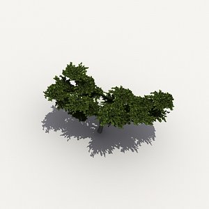 Low-poly African trees