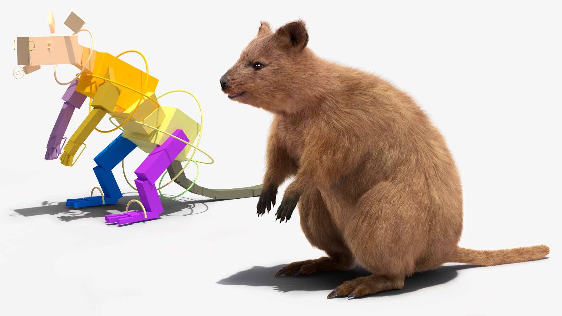 Quokka Kangaroo Rigged Fur 3D https://p.turbosquid.com/ts-thumb/yQ/E50LMh/58/quokkakangarooriggedfurvray3dmodel002/jpg/1701465423/1920x1080/fit_q87/a0d094e5b03684d03c5fdddf9056b29acb87f8a1/quokkakangarooriggedfurvray3dmodel002.jpg