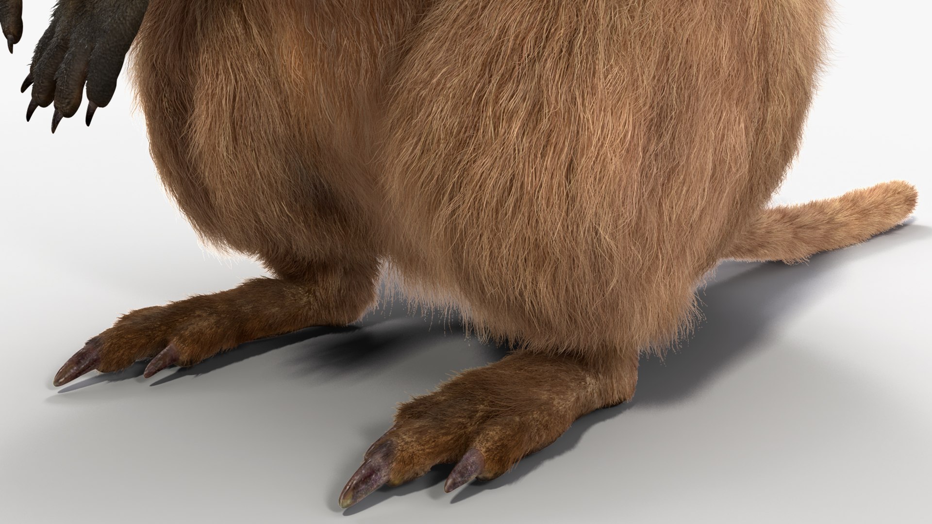 Quokka Kangaroo Rigged Fur 3D https://p.turbosquid.com/ts-thumb/yQ/E50LMh/9D/quokkakangarooriggedfurvray3dmodel022/jpg/1701465537/1920x1080/fit_q87/c96d6c5b3dee06d377a01f2b9390f57d21715bbb/quokkakangarooriggedfurvray3dmodel022.jpg