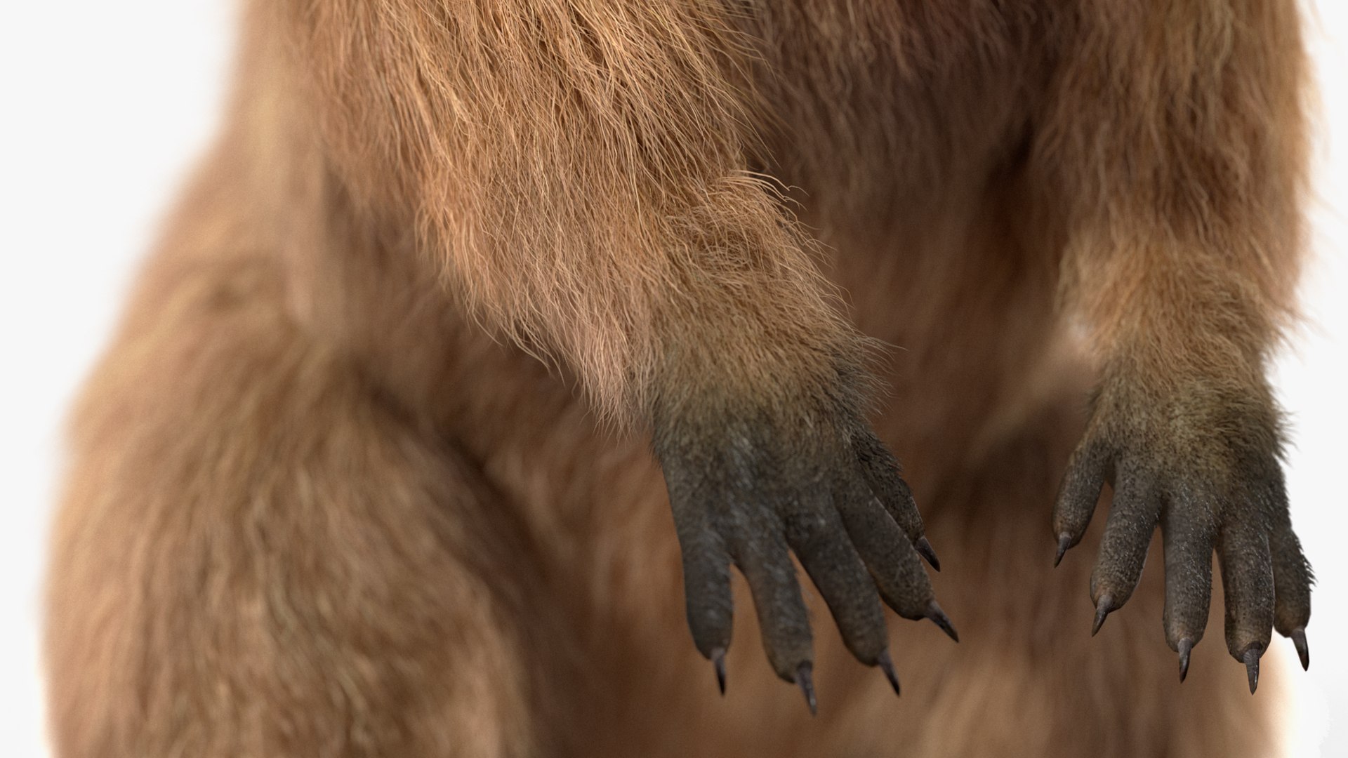 Quokka Kangaroo Rigged Fur 3D https://p.turbosquid.com/ts-thumb/yQ/E50LMh/Ci/quokkakangarooriggedfurvray3dmodel024/jpg/1701465551/1920x1080/fit_q87/7a7396e5d42cf4dc1c4e2fa2d8815d3459141f96/quokkakangarooriggedfurvray3dmodel024.jpg