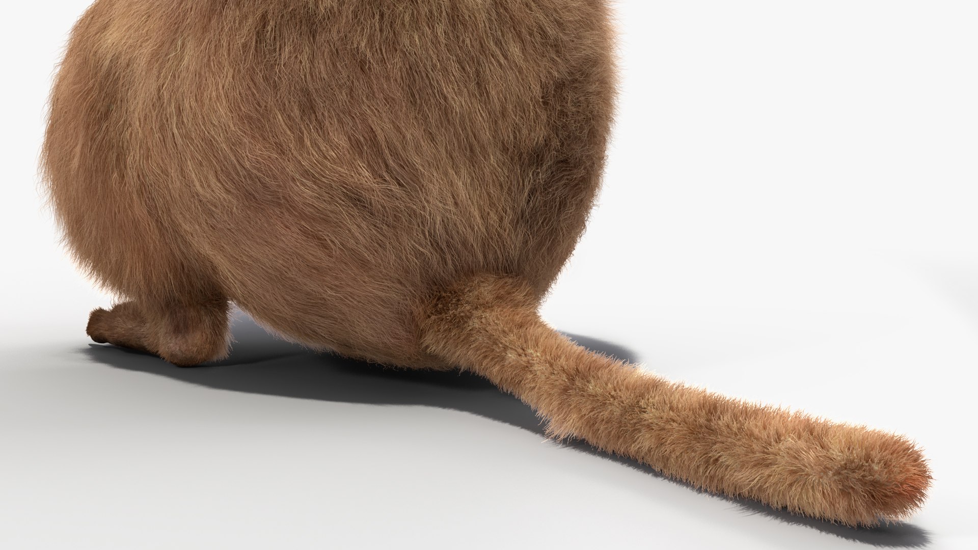 Quokka Kangaroo Rigged Fur 3D https://p.turbosquid.com/ts-thumb/yQ/E50LMh/DV/quokkakangarooriggedfurvray3dmodel023/jpg/1701465543/1920x1080/fit_q87/f7df1bb337ab9ed65f35b604e1f33d516c236264/quokkakangarooriggedfurvray3dmodel023.jpg
