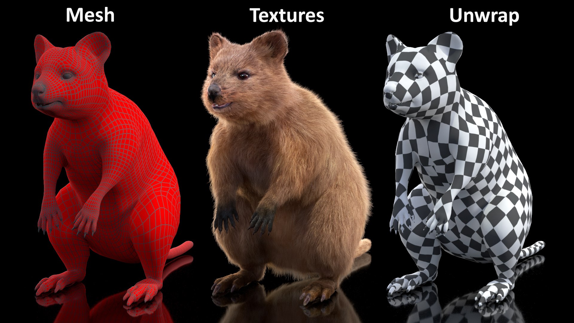 Quokka Kangaroo Rigged Fur 3D https://p.turbosquid.com/ts-thumb/yQ/E50LMh/Wh/quokkakangarooriggedfurvray3dmodel025/jpg/1701465556/1920x1080/fit_q87/a1435d31fc088ee161ad8b21508c1543ee7b33cc/quokkakangarooriggedfurvray3dmodel025.jpg