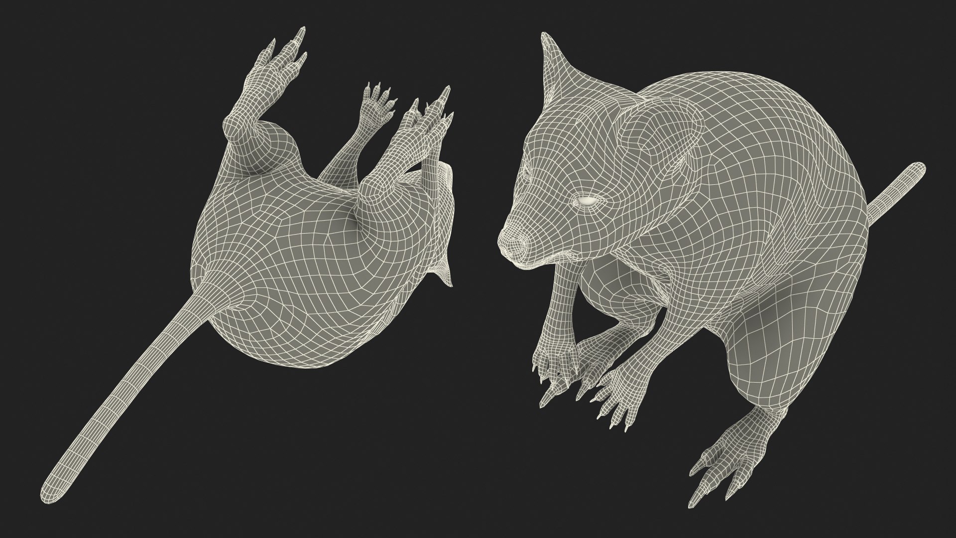 Quokka Kangaroo Rigged Fur 3D https://p.turbosquid.com/ts-thumb/yQ/E50LMh/r4/quokkakangarooriggedfurvray3dmodel032/jpg/1701465591/1920x1080/fit_q87/4a38a2aa92de7fc15f641292116542200f5d8c5d/quokkakangarooriggedfurvray3dmodel032.jpg