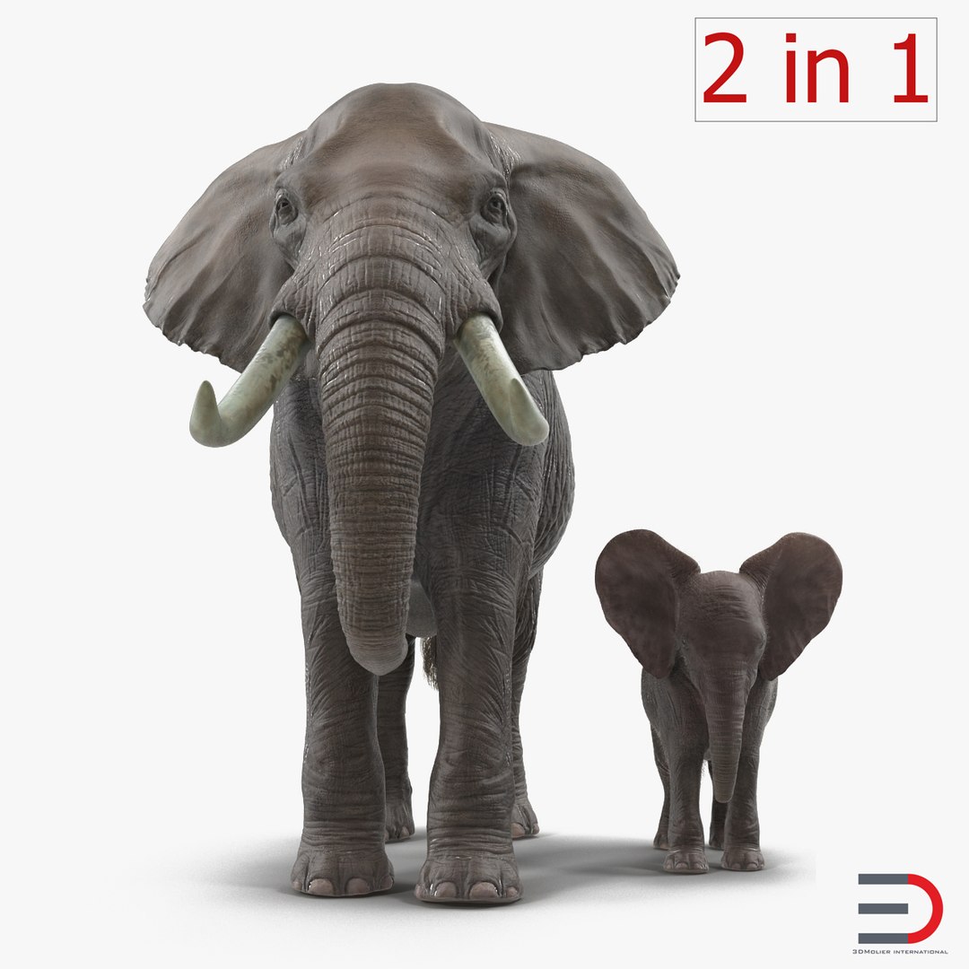Elephants Rigged 3D Models Collection 3D model preview