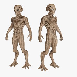 3D model Alien Creature - High Detail PBR Model