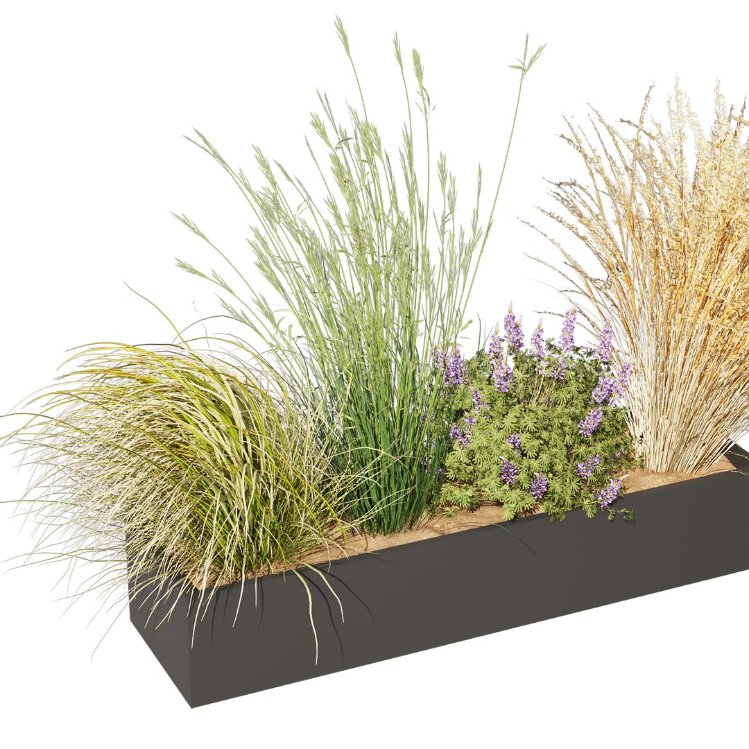 3D Collection plant vol 613 - grass - Dichelachne - Pampas - Calamagrostis - Carex - Lupinus https://p.turbosquid.com/ts-thumb/yQ/UgHSM4/CS/4/jpg/1731803574/1920x1080/fit_q87/73ce1dcfb70d409f88254406706523c921f25b12/4.jpg