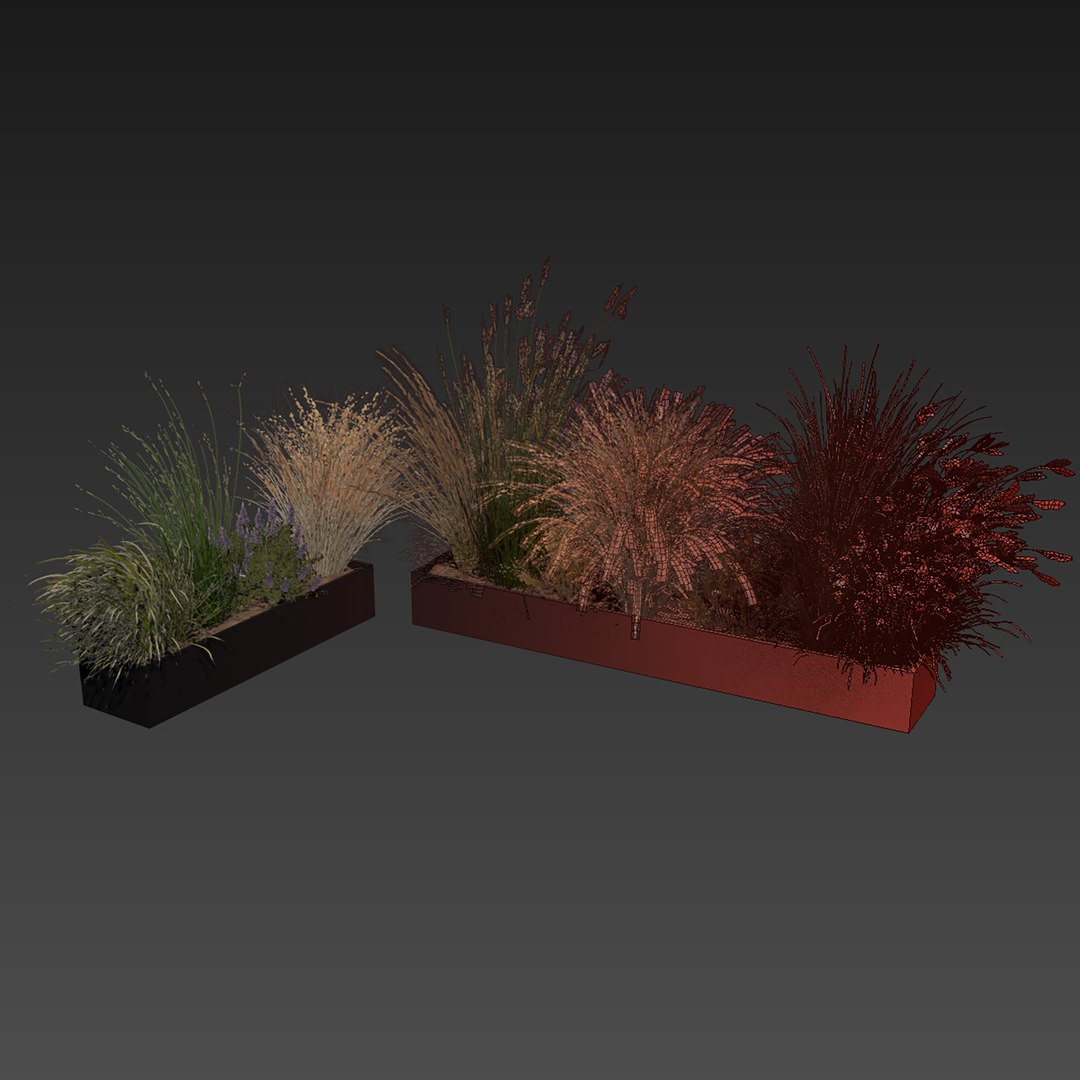 3D Collection plant vol 613 - grass - Dichelachne - Pampas - Calamagrostis - Carex - Lupinus https://p.turbosquid.com/ts-thumb/yQ/UgHSM4/RY/7/jpg/1731803575/1920x1080/fit_q87/db47217ddea6d8c6e739520a47e0a74e0f4e9f76/7.jpg