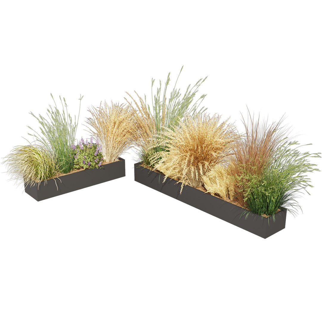 3D Collection plant vol 613 - grass - Dichelachne - Pampas - Calamagrostis - Carex - Lupinus https://p.turbosquid.com/ts-thumb/yQ/UgHSM4/jv/6/jpg/1731803575/1920x1080/fit_q87/303763e69dbd21e746ca590d0cfc0627c1bf52a9/6.jpg