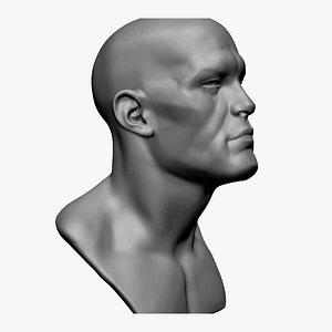 3D Base Male Head A