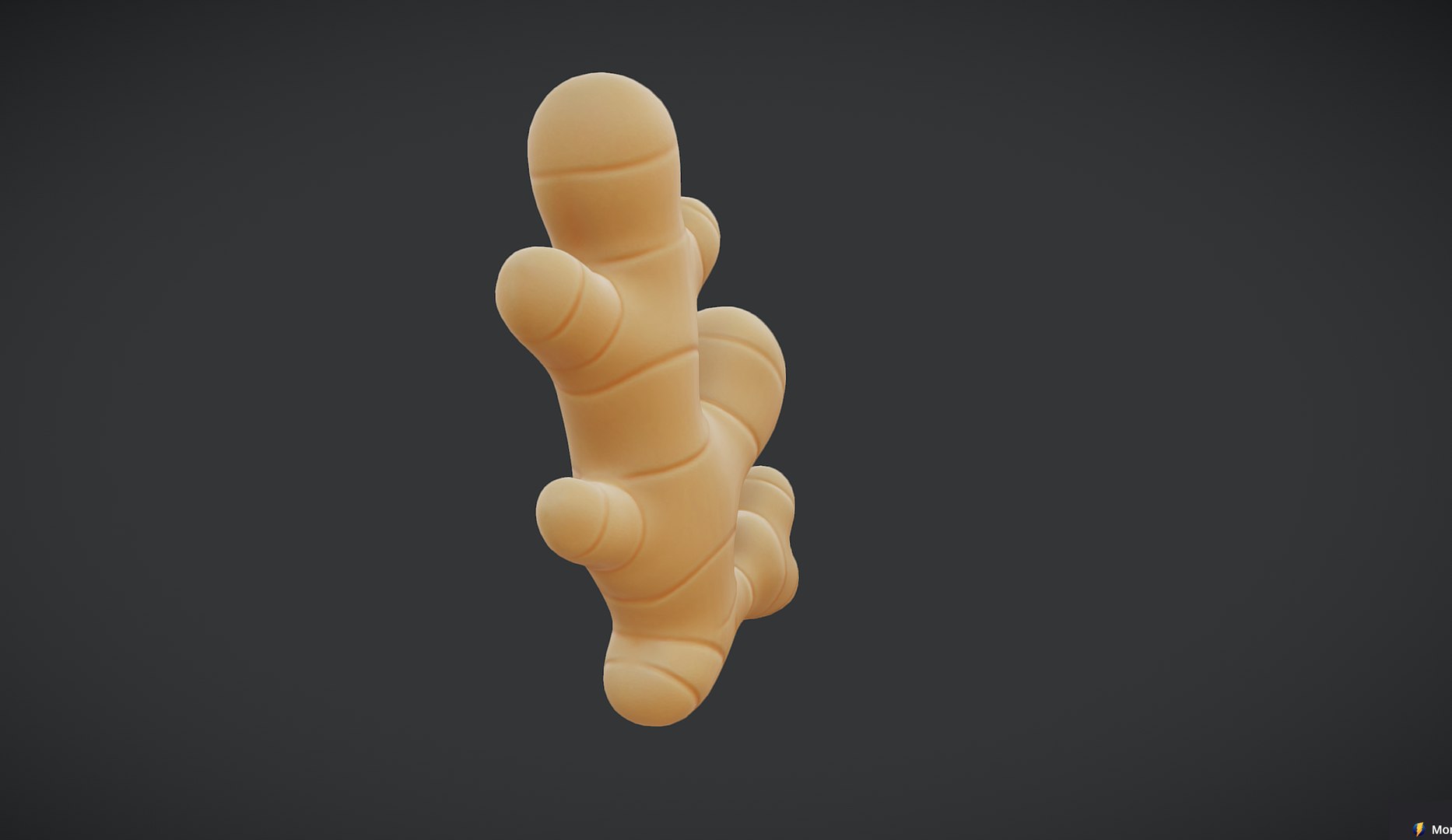 3D Ginger Root https://p.turbosquid.com/ts-thumb/yQ/cYTIoW/vX/zz261005115303/png/1791176084/1920x1080/fit_q87/e721d4873aafa939a1d38a25758b571ac7e733d3/zz261005115303.jpg