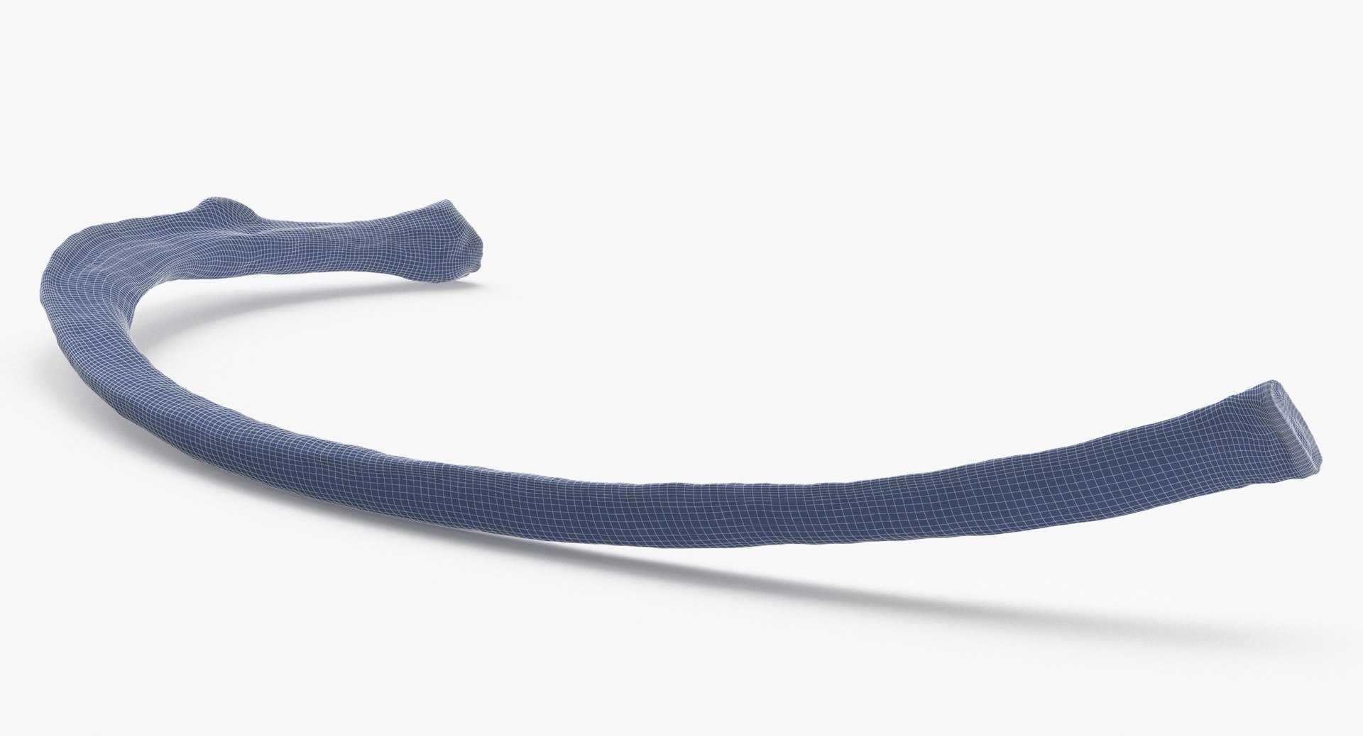 Kangaroo Red Necked Wallaby Rib T8 3D model https://p.turbosquid.com/ts-thumb/yQ/cswg1G/E8/kangaroo_red_necked_wallaby_rib_t8_wireframe_0003/jpg/1683907640/1920x1080/fit_q87/d5a40132ab3b4a8d2db44fa4425b55739f0547eb/kangaroo_red_necked_wallaby_rib_t8_wireframe_0003.jpg