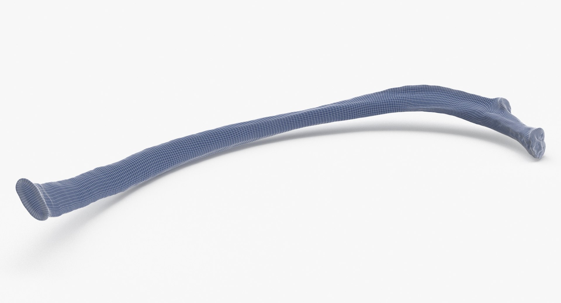 Kangaroo Red Necked Wallaby Rib T8 3D model https://p.turbosquid.com/ts-thumb/yQ/cswg1G/cx/kangaroo_red_necked_wallaby_rib_t8_wireframe_0004/jpg/1683907643/1920x1080/fit_q87/57e5fe7498ee0dd64d6cf35ec0f1138c2190be97/kangaroo_red_necked_wallaby_rib_t8_wireframe_0004.jpg