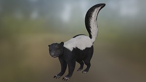skunk