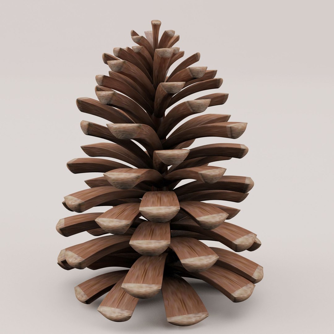 솔방울 3D 모델 - TurboSquid 744638, image size:1080x1080