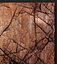 Rock Wall Panel