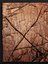 Rock Wall Panel