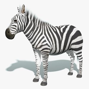 zebra fur animation 3d max