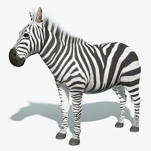 Zebra Fur