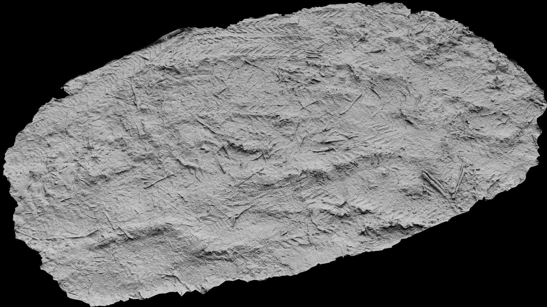 Forest Ground Broken Branches Debris Part1 Photogrammetry 3D Model ...