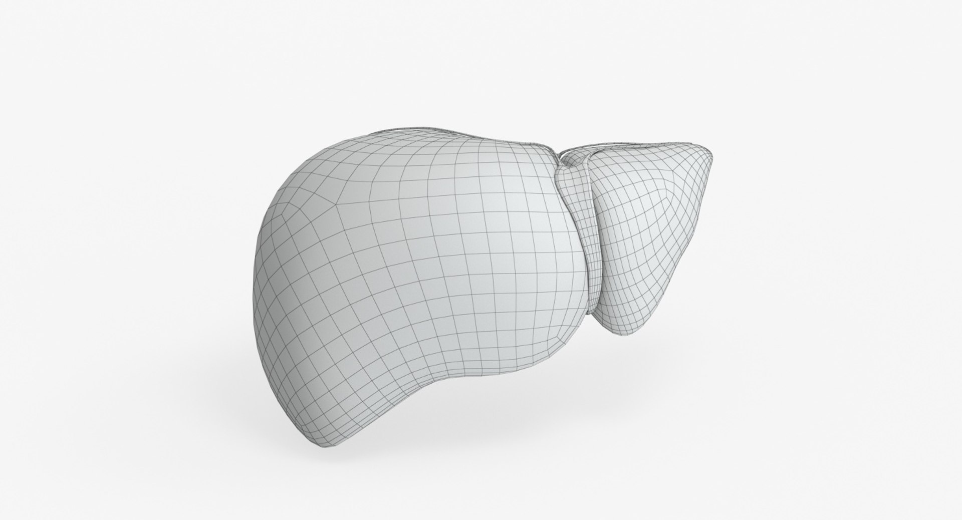 liver anatomical segments 3D https://p.turbosquid.com/ts-thumb/yR/5wacb6/WWNNGTdT/liver_anatomical_segments_grid_0003/jpg/1551556729/1920x1080/fit_q87/004ee65d7a85d4a0f05342fde5f0802bc72c7931/liver_anatomical_segments_grid_0003.jpg