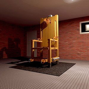 electric chair max